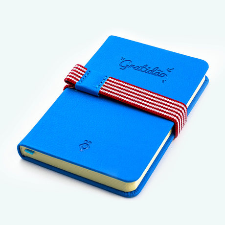 loja-virtual-febracis-caderno-gratidao-azul